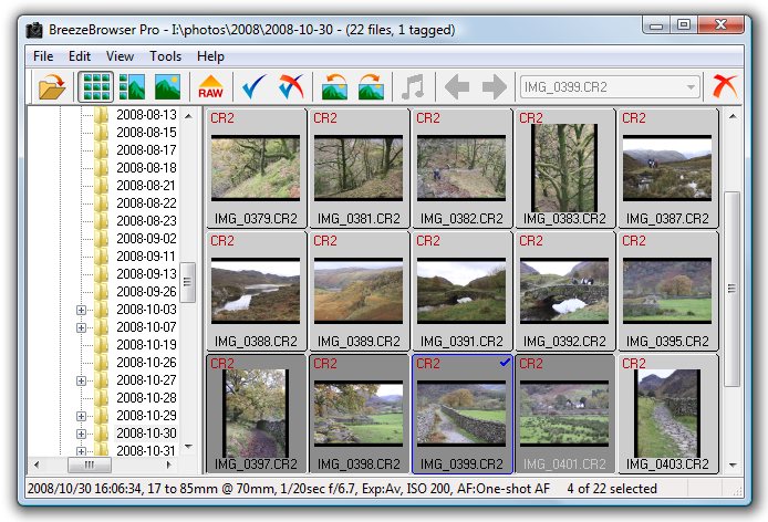 BreezeBrowser Pro скриншот 2