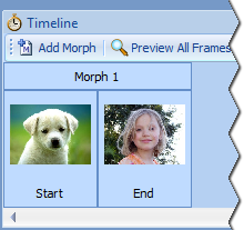 Подробный обзор Morpheus Photo Morpher: интерфейс, контрольные точки, рендеринг, версии и ограничения скриншот 4