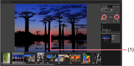 Canon Digital Photo Professional 4.21.30: полный обзор RAW-конвертера Canon, интерфейса, форматов и истории версий скриншот 2