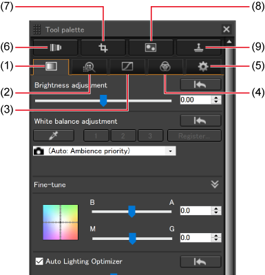 Canon Digital Photo Professional 4.21.30: полный обзор RAW-конвертера Canon, интерфейса, форматов и истории версий скриншот 3