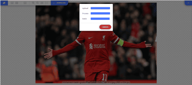 Vectorizer.AI скриншот 3