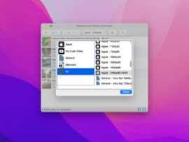 MediaHuman Video Converter скриншот 2