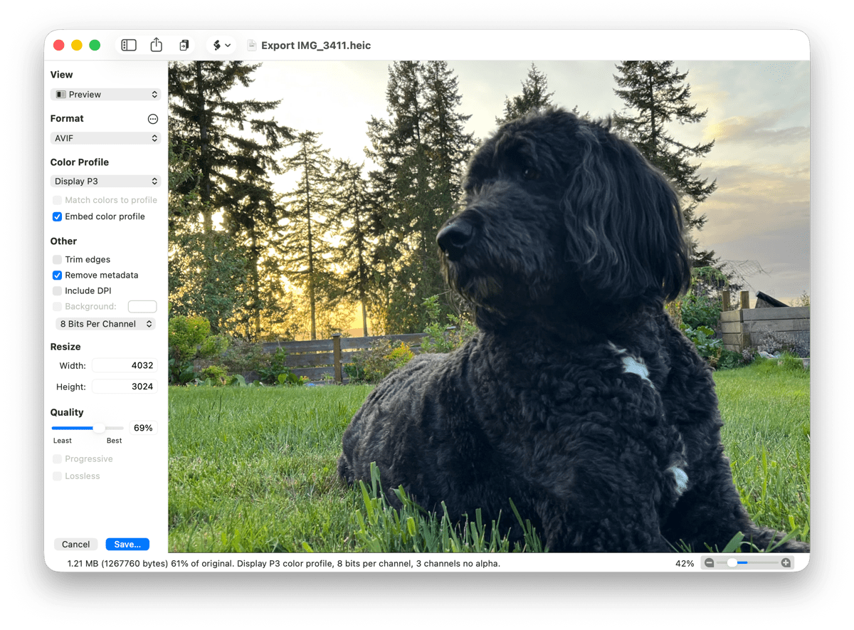 Acorn 8 для macOS: подробный обзор редактора изображений, инструментов, форматов и ограничений скриншот 6