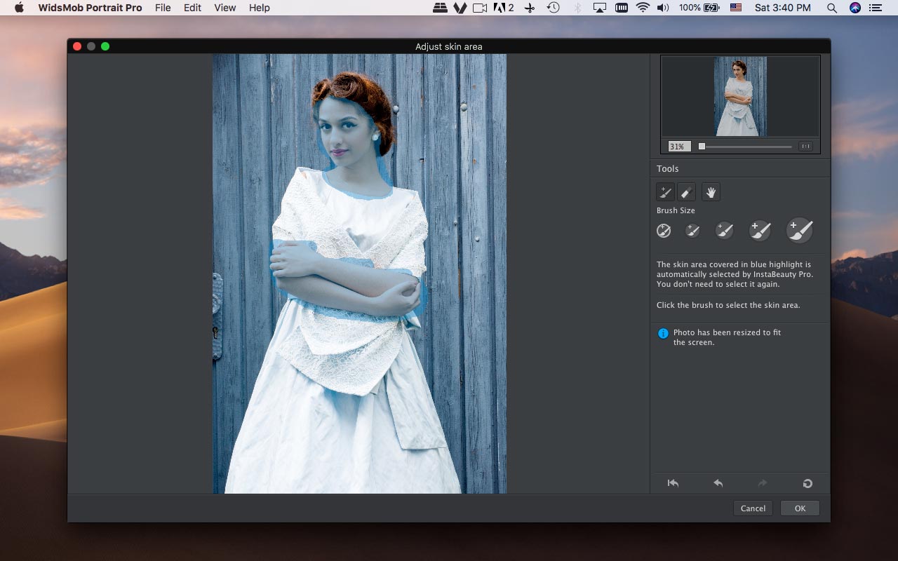 WidsMob Portrait Pro скриншот 2