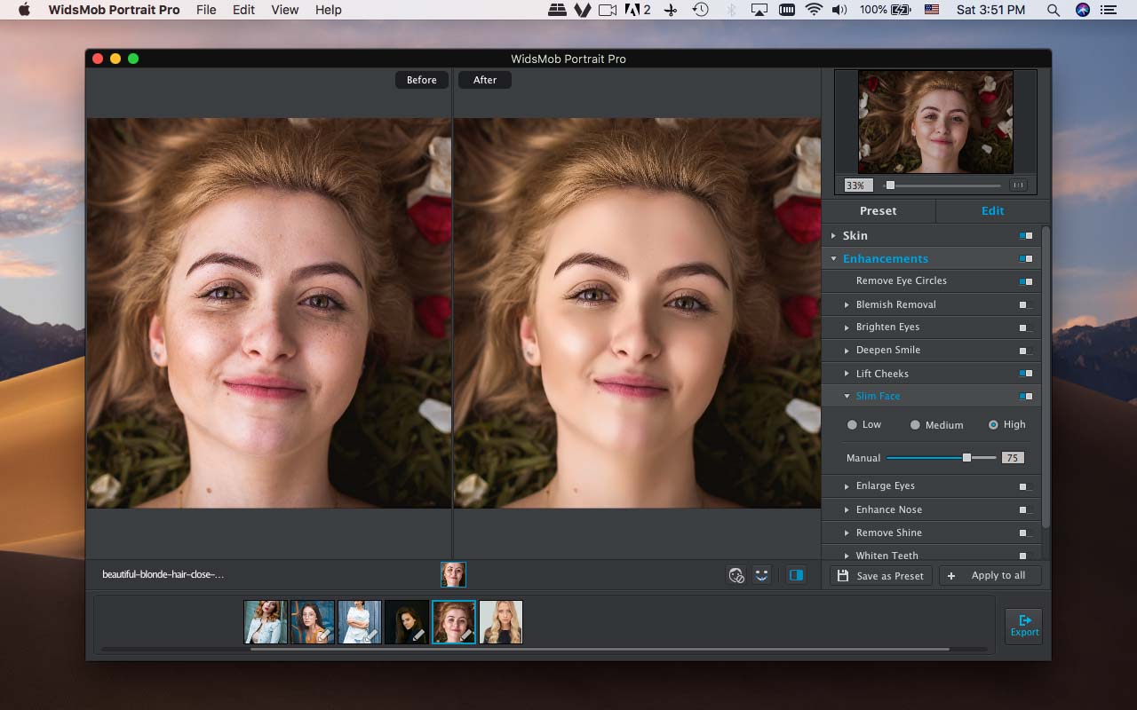 WidsMob Portrait Pro скриншот 3