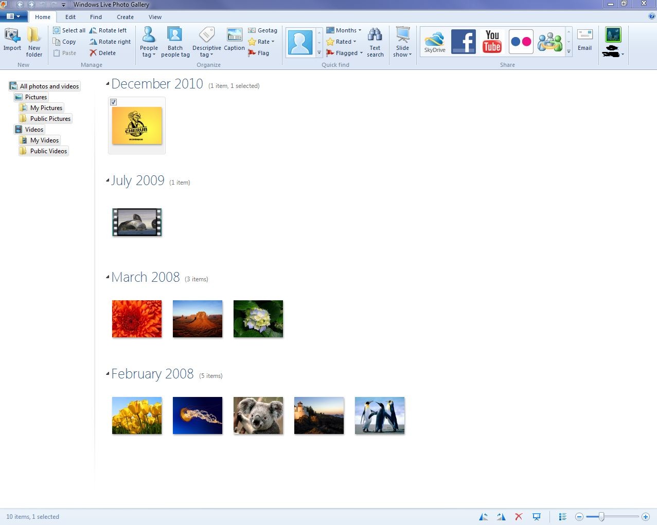 Windows Live Photo Gallery: полный обзор фотоорганайзера Microsoft, интерфейса и возможностей скриншот 3