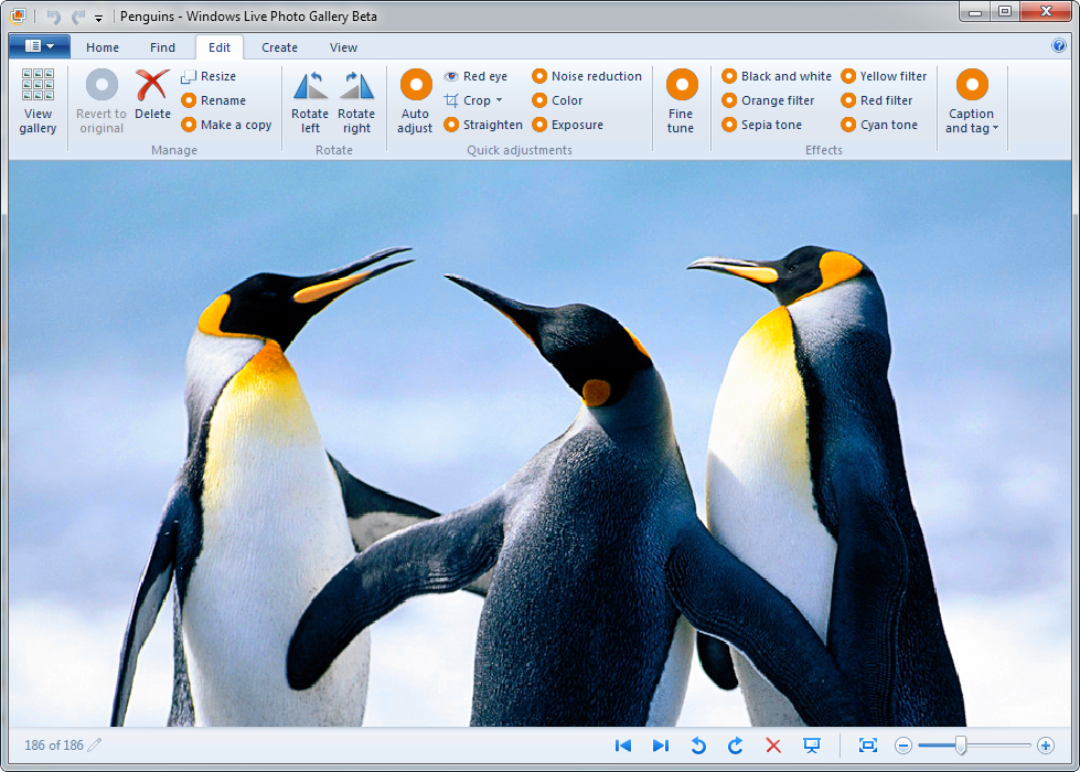 Windows Live Photo Gallery: полный обзор фотоорганайзера Microsoft, интерфейса и возможностей скриншот 2