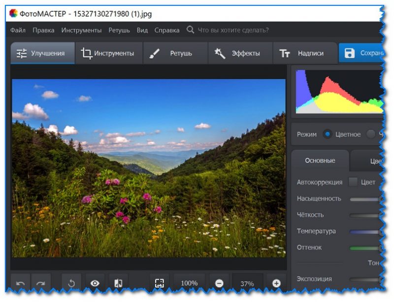Открытая фотография в рабочем окне ФотоМАСТЕР