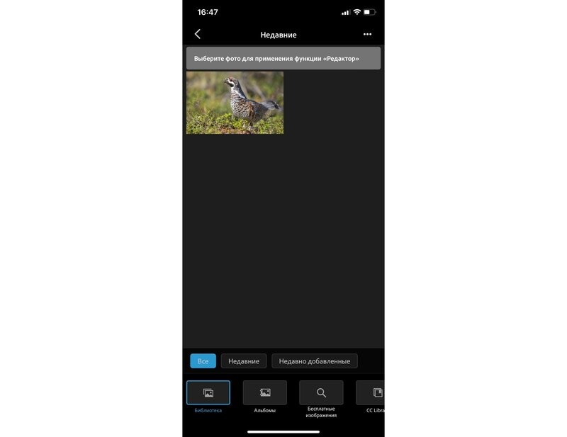 Главный экран Adobe Photoshop Express