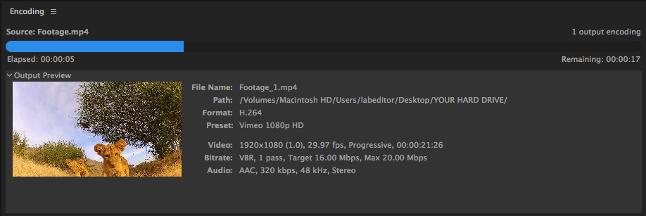 Панель Encoding в Adobe Media Encoder во время транскодирования H.264