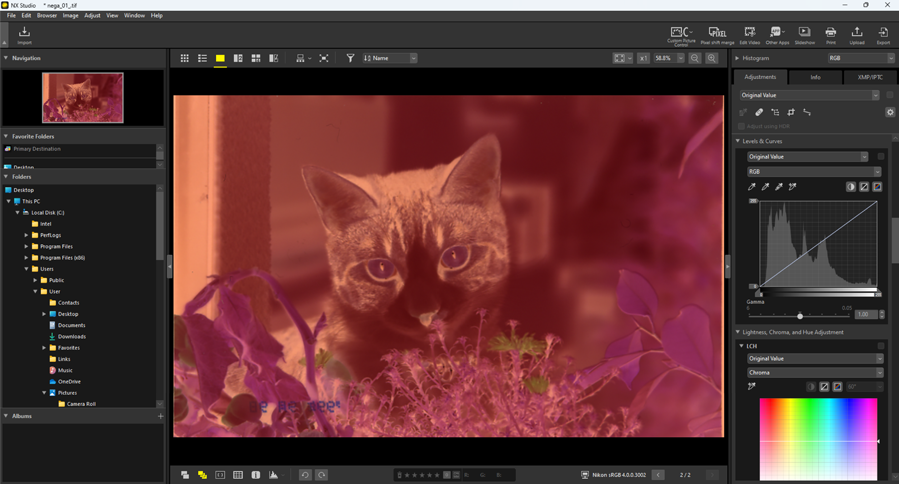 Оцифрованный негатив в интерфейсе Nikon NX Studio