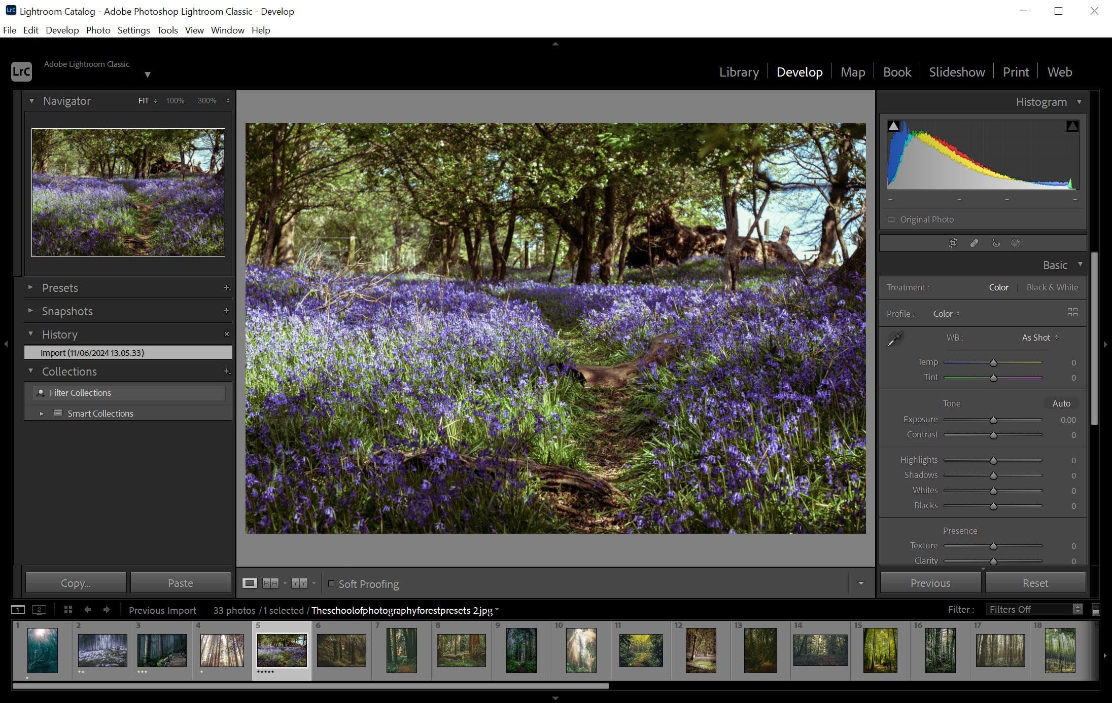 Adobe Lightroom Classic в модуле Develop