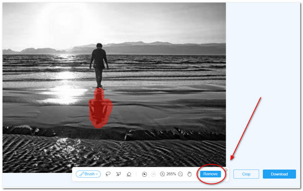 Запуск удаления выделенной области в AnyMP4 Watermark Remover