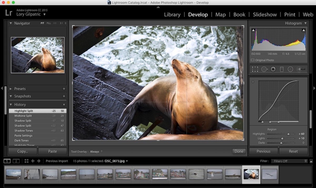 Интерфейс Adobe Lightroom: рабочее окно и инструменты обработки, изображение 1