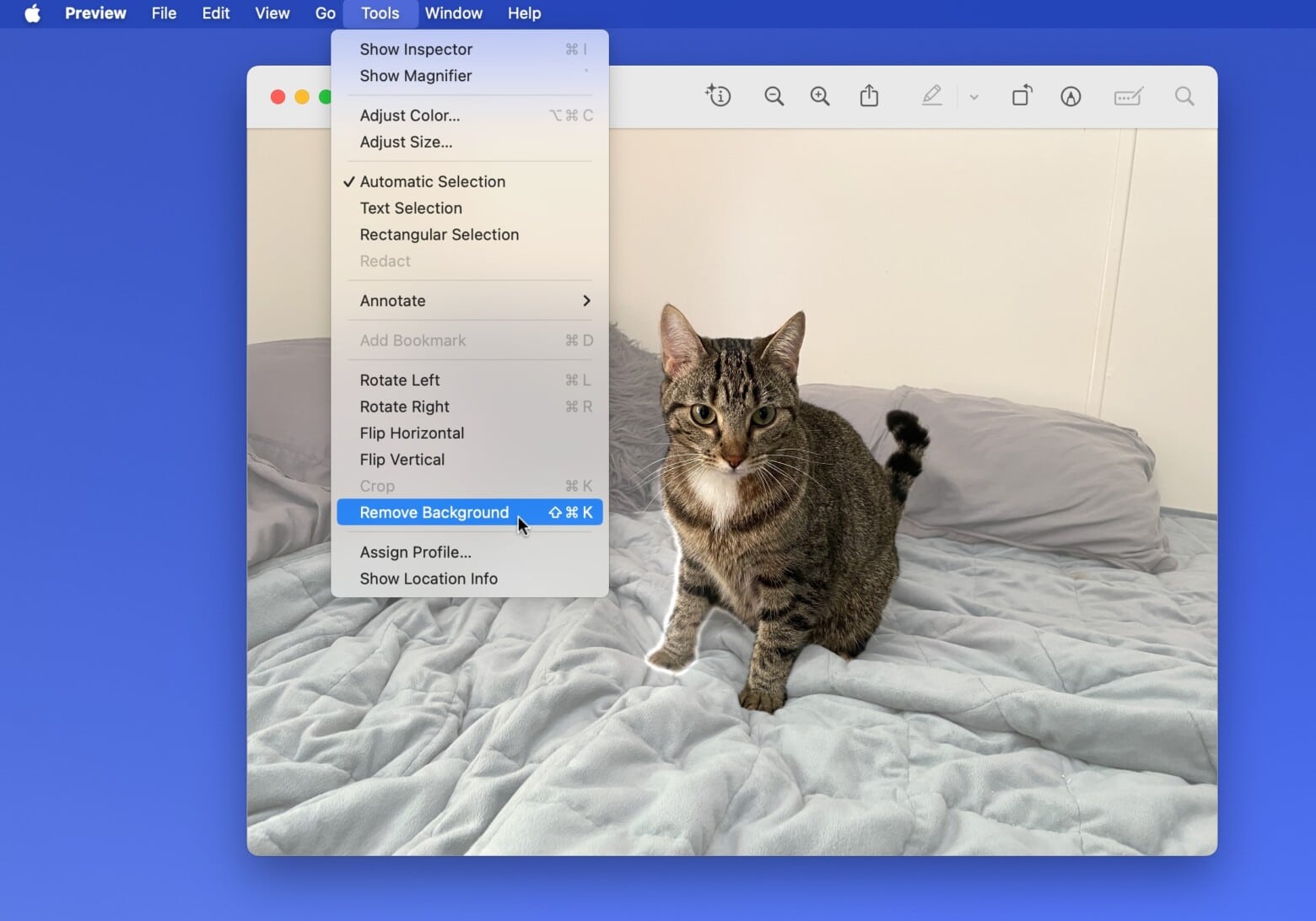 Команда Remove Background в приложении Preview на Mac