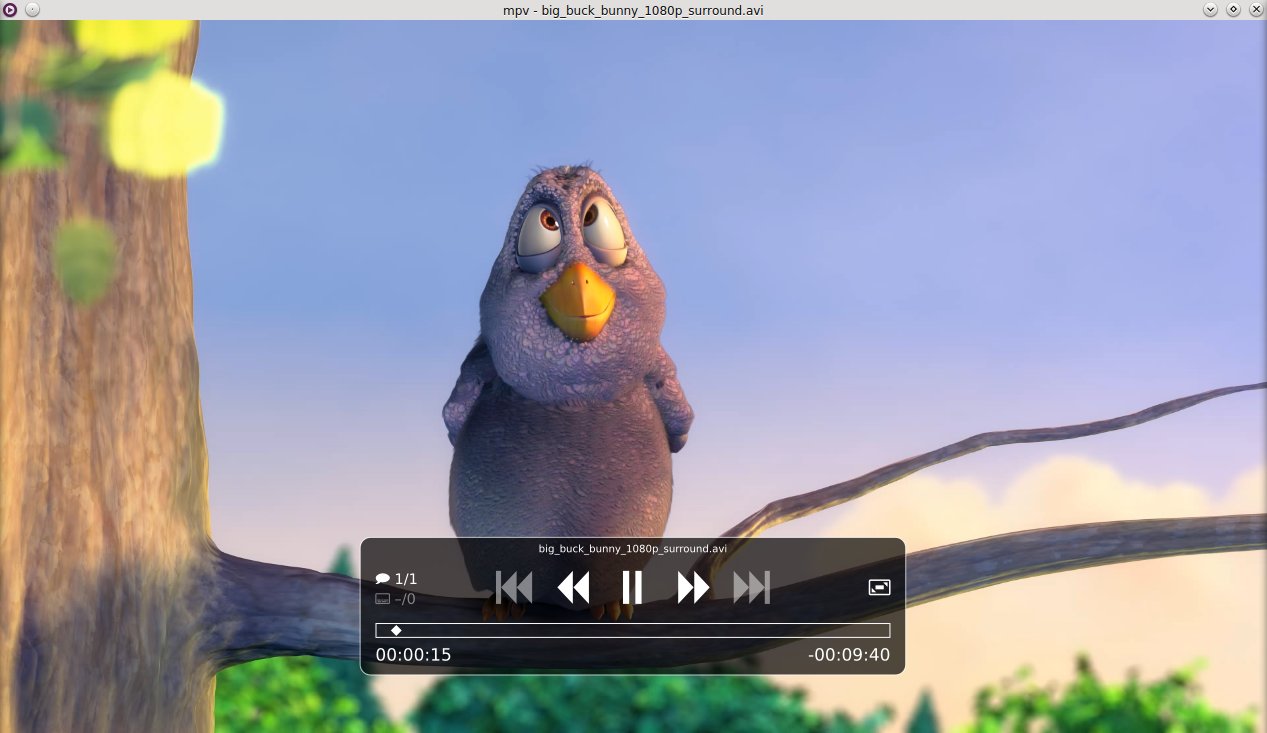Интерфейс mpv при воспроизведении видео в Linux