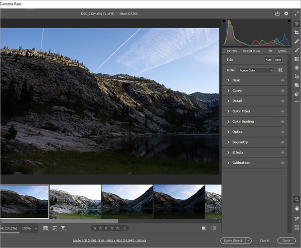 Интерфейс Adobe Camera Raw с панелями Basic, Curve, Detail и Optics