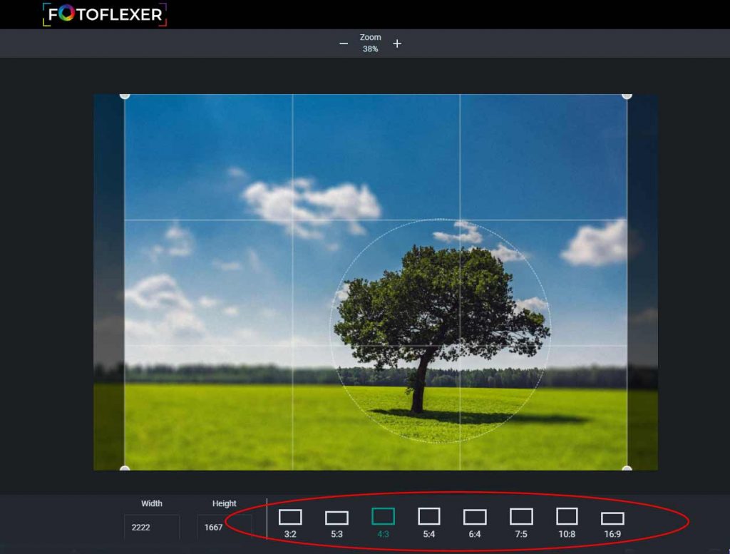 Инструмент Crop в FotoFlexer с рамкой кадрирования и набором пропорций