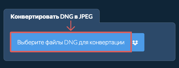 Выбор DNG в локальном конвертере ezyZip
