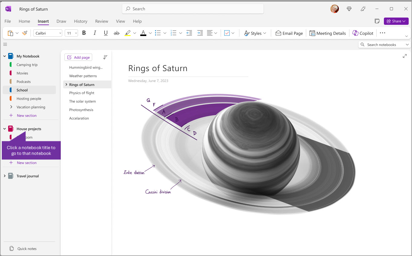 Интерфейс OneNote с блокнотами, разделами, страницами и рабочей областью