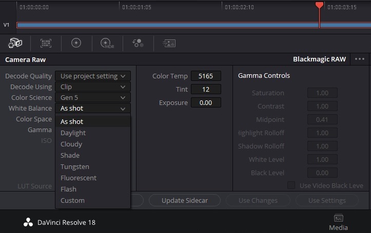 Camera Raw в DaVinci Resolve с настройками Blackmagic RAW