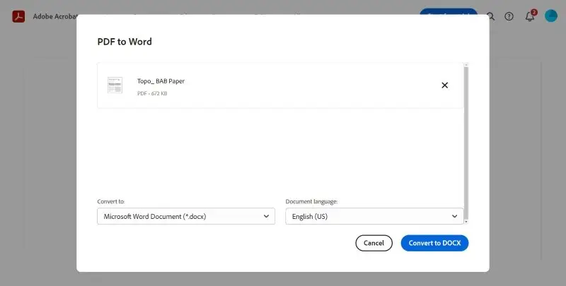 Окно Adobe Acrobat для преобразования PDF в Microsoft Word DOCX