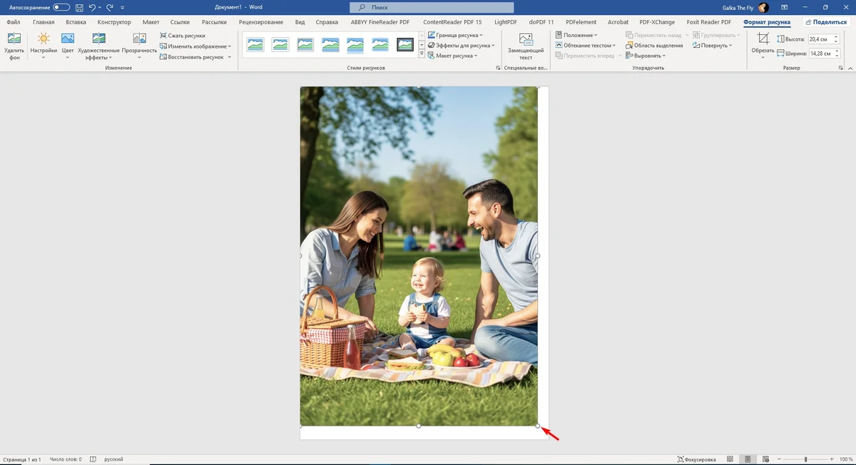 Предварительный просмотр фотографий в Word