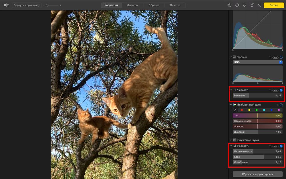 Регулировка резкости в Photos на macOS