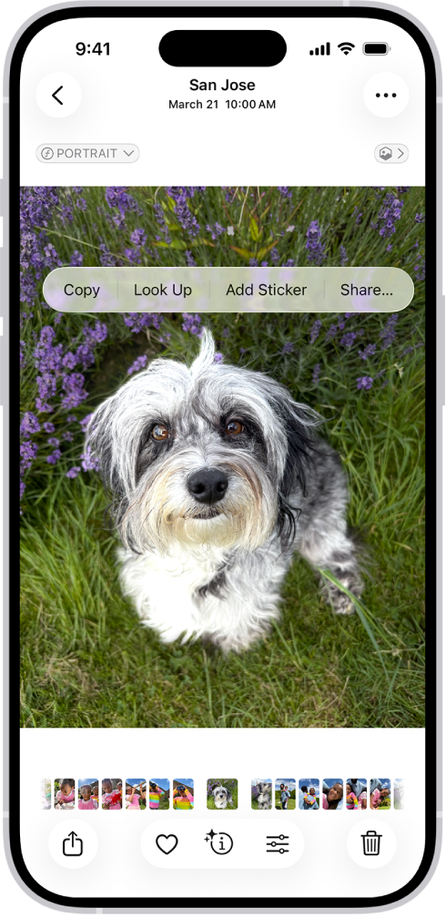 Создание стикера из объекта на фотографии iPhone