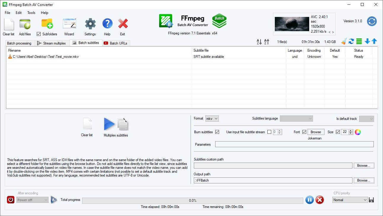 Вкладка Batch subtitles в FFmpeg Batch AV Converter с настройками прожига и добавления субтитров