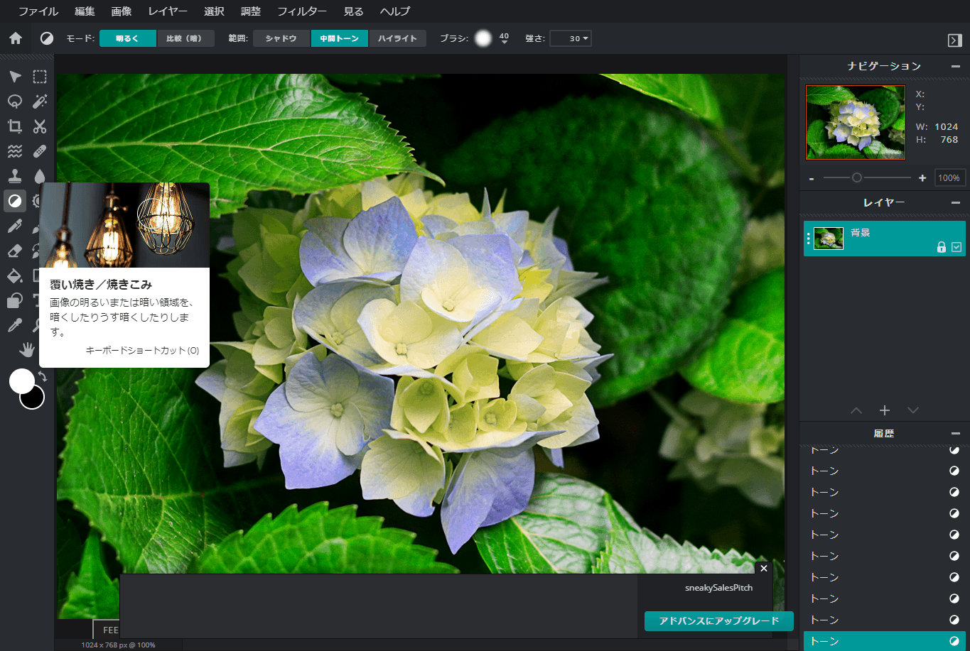 Pixlr E: интерфейс локального Dodge/Burn для осветления участков изображения