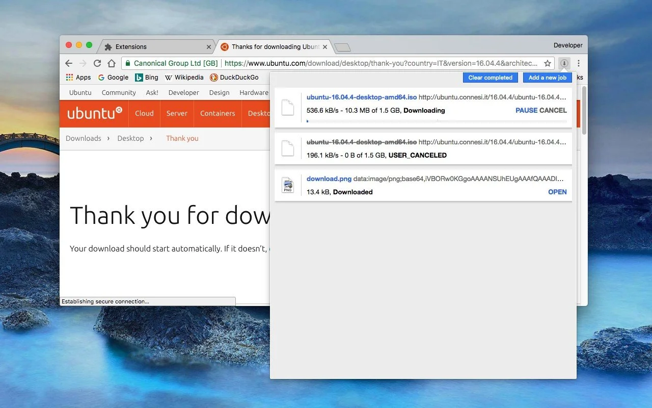 Интерфейс Turbo Download Manager