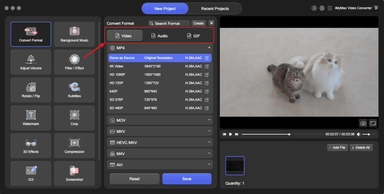 iMyMac Video Converter — скриншот интерфейса