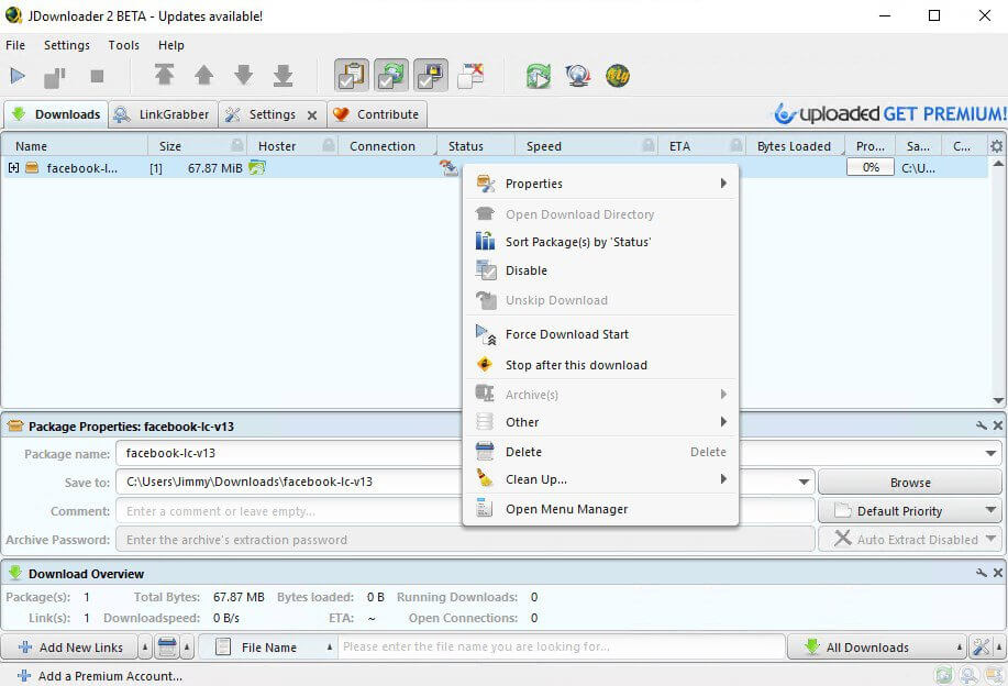 Процесс загрузки в JDownloader