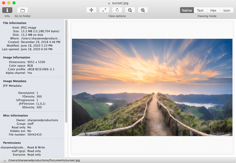Интерфейс File Viewer для macOS с открытым медиафайлом
