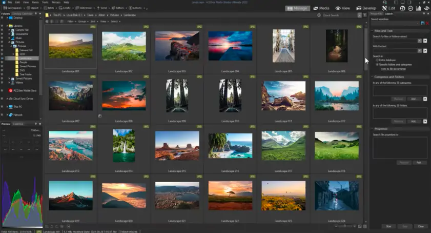 Интерфейс ACDSee Photo Studio с библиотекой и окном фотографии