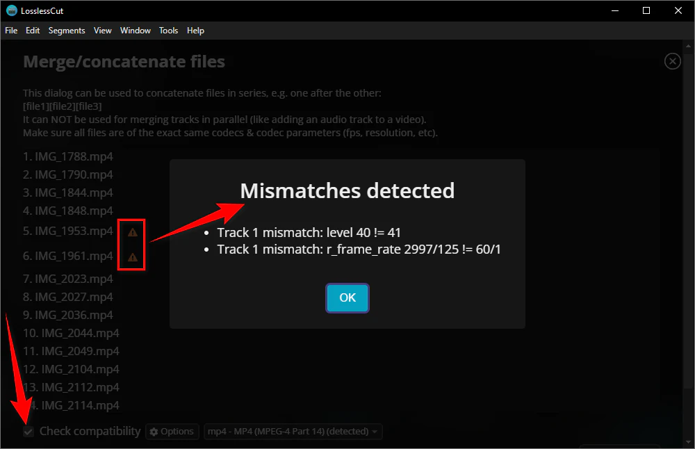 Предупреждение Mismatches detected в LosslessCut