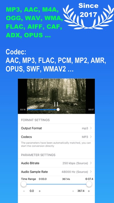 Media Converter на iPhone: MP3 в Output Format и настройки Audio Bitrate и Audio Sample Rate