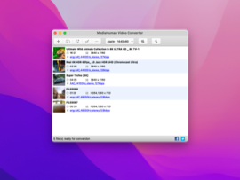 Главное окно MediaHuman Video Converter со списком добавленных файлов