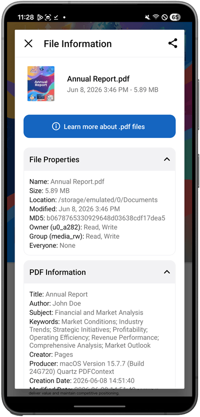 File Viewer for Android: панель File Information со свойствами и метаданными файла