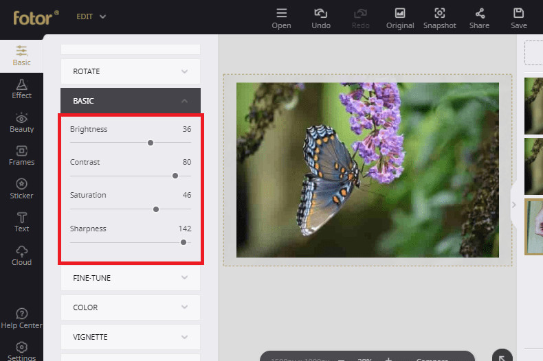 Fotor: элементы Basic Adjust с Brightness и Contrast