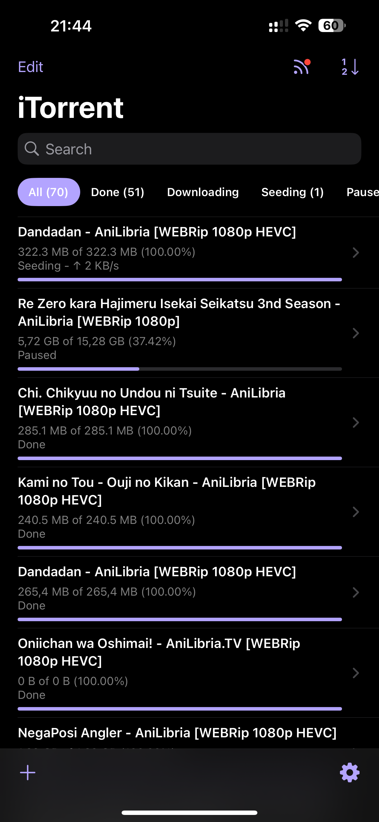 iTorrent на iPhone: интерфейс локального torrent-клиента