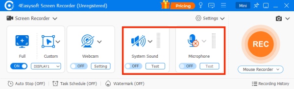 Запись экрана со звуком в 4Easysoft Screen Recorder