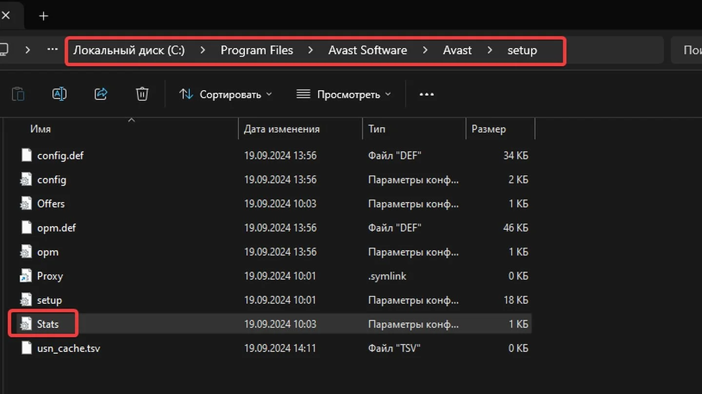 Папка setup в каталоге установленного Avast