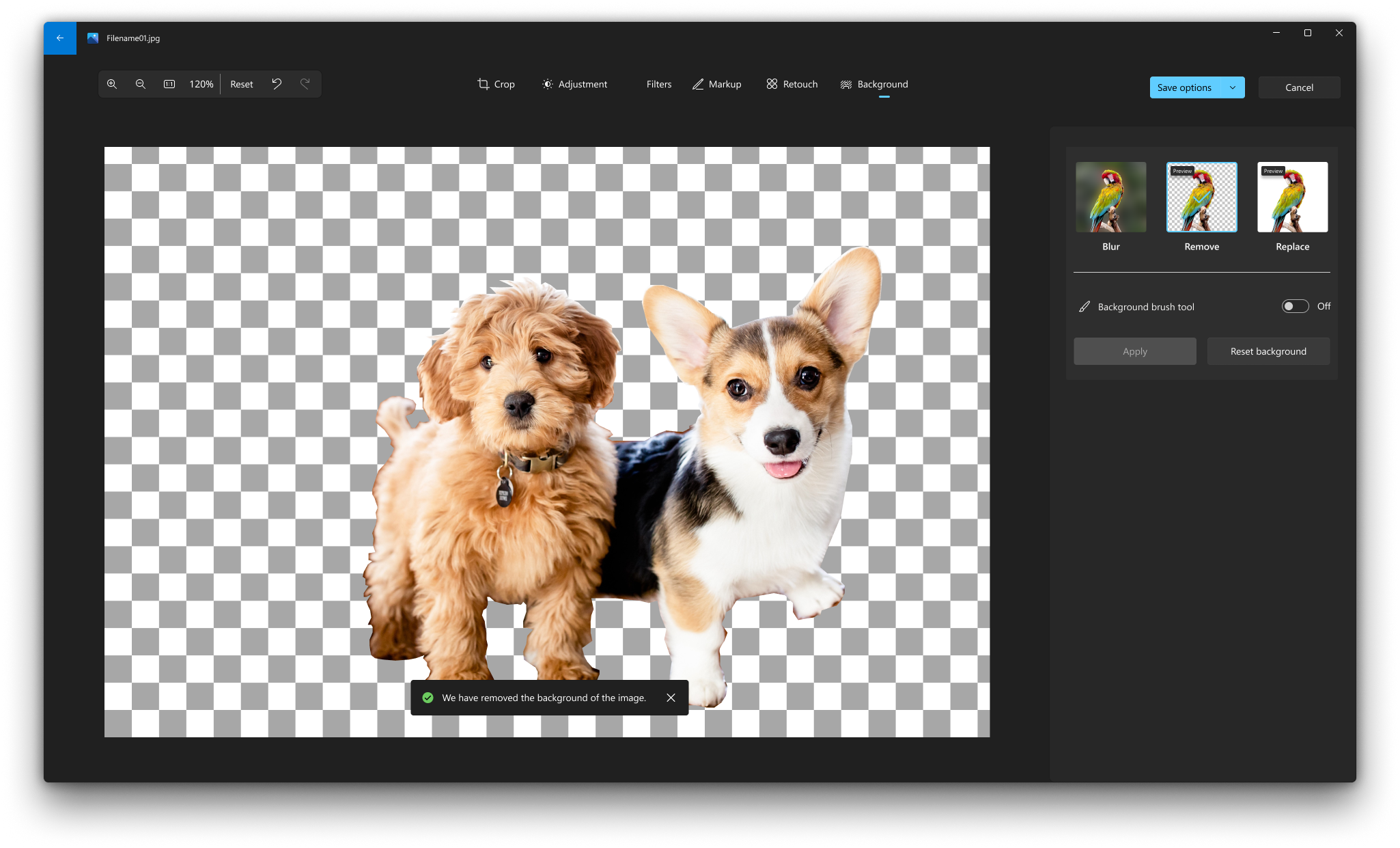 Результат удаления фона на шахматной прозрачной подложке в Windows Photos