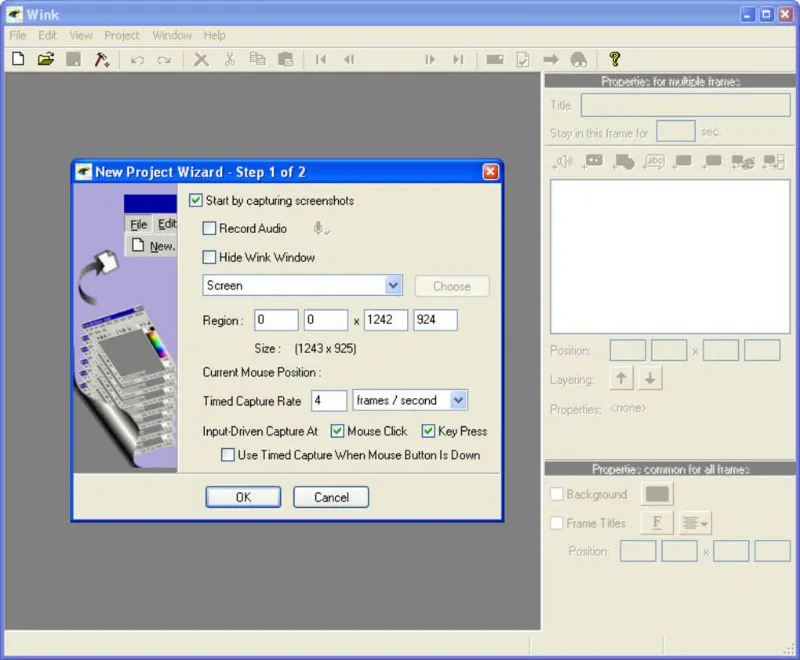 Окно New Project Wizard Step 1 of 2 в Wink Screen Recorder