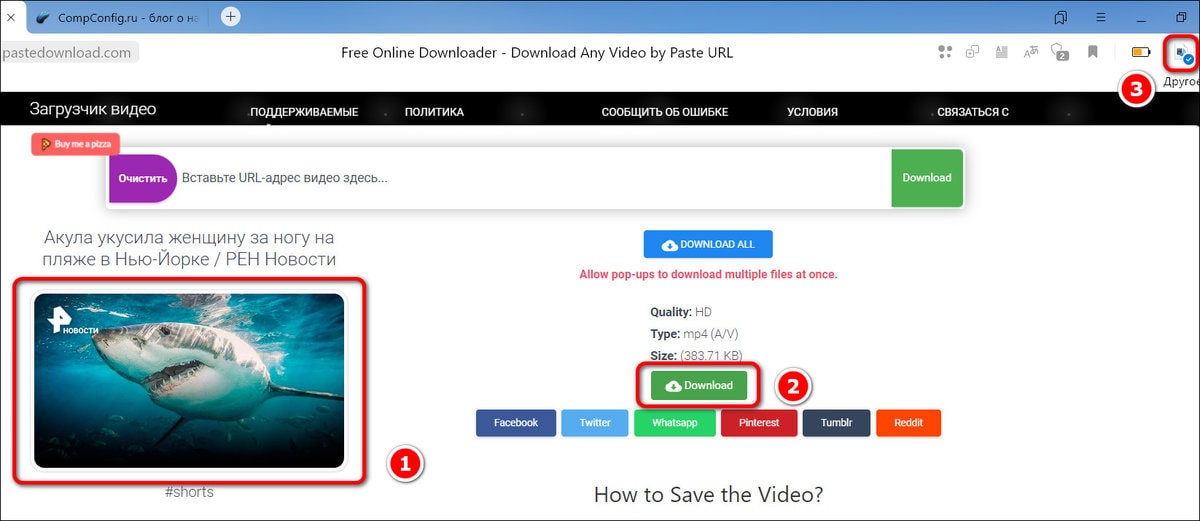 Сохранение результата из Pastedownload