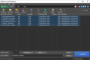 Главное окно NCH Prism Video Converter с очередью файлов, панелью добавления и кнопкой Convert