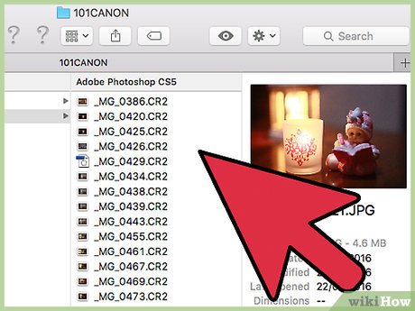 Подготовка папки CR2 для Adobe DNG Converter