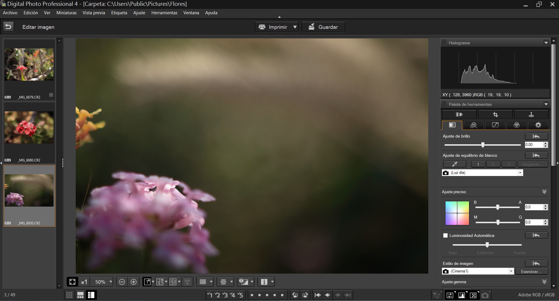Интерфейс Canon Digital Photo Professional с панелью RAW-коррекции